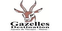 gazelle